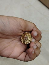 Gaurav Mehta review photo
