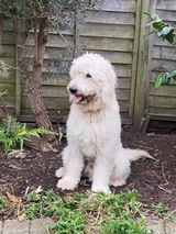Murphy review photo