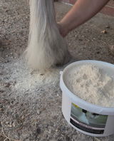 Vicki’s equine service review photo