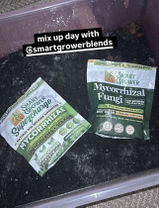 @MyFavoriteIsGreen review photo