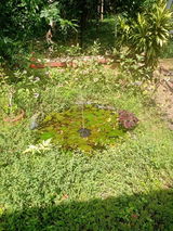 Pooja review photo