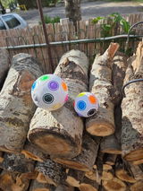 Logicman review photo