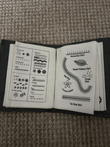Diane M. review photo