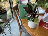 Margaret D. review photo