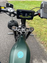 Plevicz review photo
