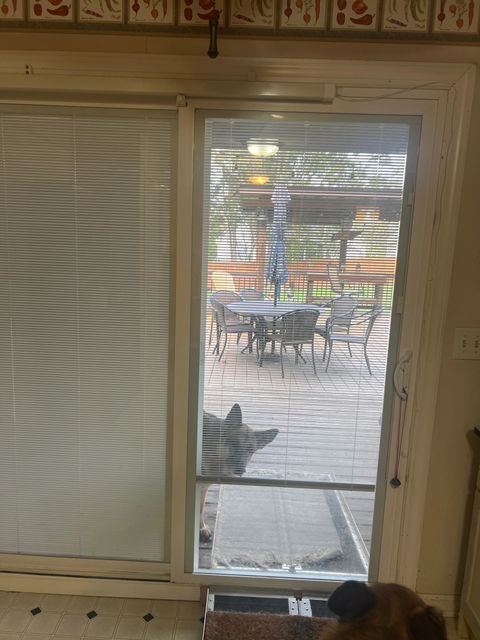 SmartSlydr – Smart Pet Door