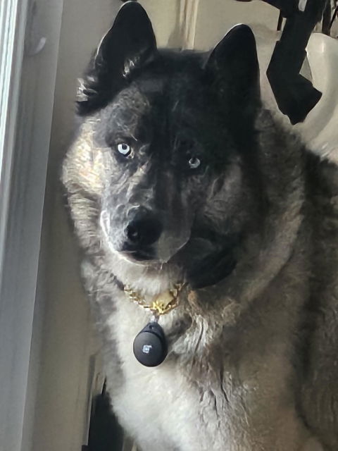 SmartSlydr PetPass / OneButton