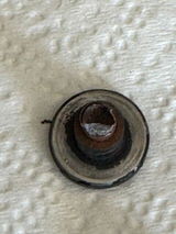 LT Tran review photo