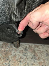 Matt S review photo
