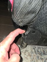 Matt S review photo