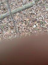 Heath Bell review photo
