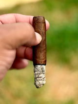 Daily Driver Cigars review photo