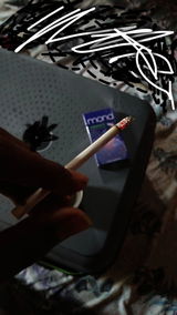 Shub review photo