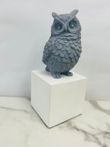 B.B. review photo
