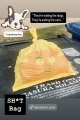 SamsonzMommy review photo