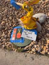 Randi McKenzie review photo