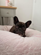 Lotti Evans review photo