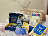 Ayush jindal review photo