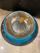 Raj review photo