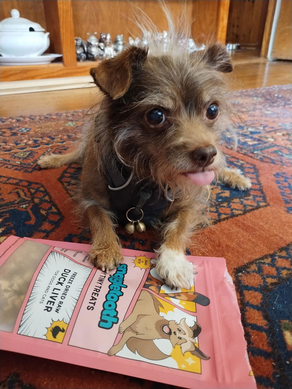 Teeny Tiny Treat Bundle