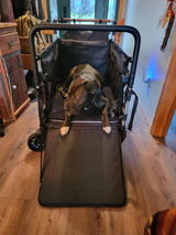 Stbovin review photo