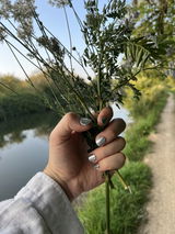 Runi review photo