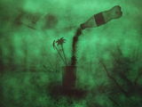 Till Meurer review photo
