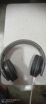 Ushashi Paul review photo