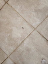Mary Pelling review photo