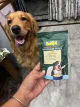 Gracy Singh, Golden Retriever review photo