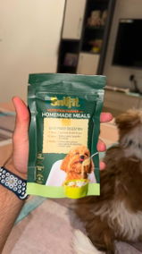 Rio, Shihtzu review photo