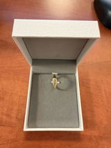 R. S. review photo