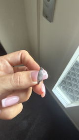 Nikki v.d.b. review photo
