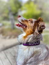 Anja H. Wrigglesworth review photo