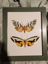 Etsy c. review photo
