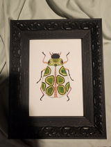 Etsy c. review photo