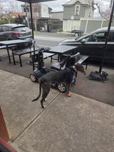 Anonymous review photo