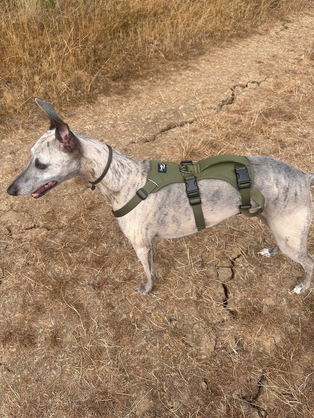 Double Ended Dog Lead - Training Lead With Comfort Mesh Padding