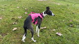Janet M. review photo
