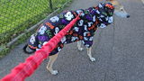 Jen S. review photo