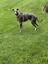 Caroline W. review photo