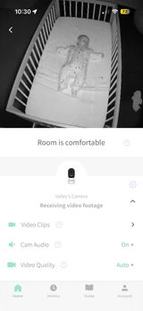 Shanaed review photo