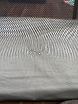 Taylor S review photo