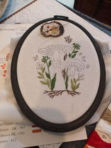 Anya Drew review photo