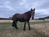 Jo review photo