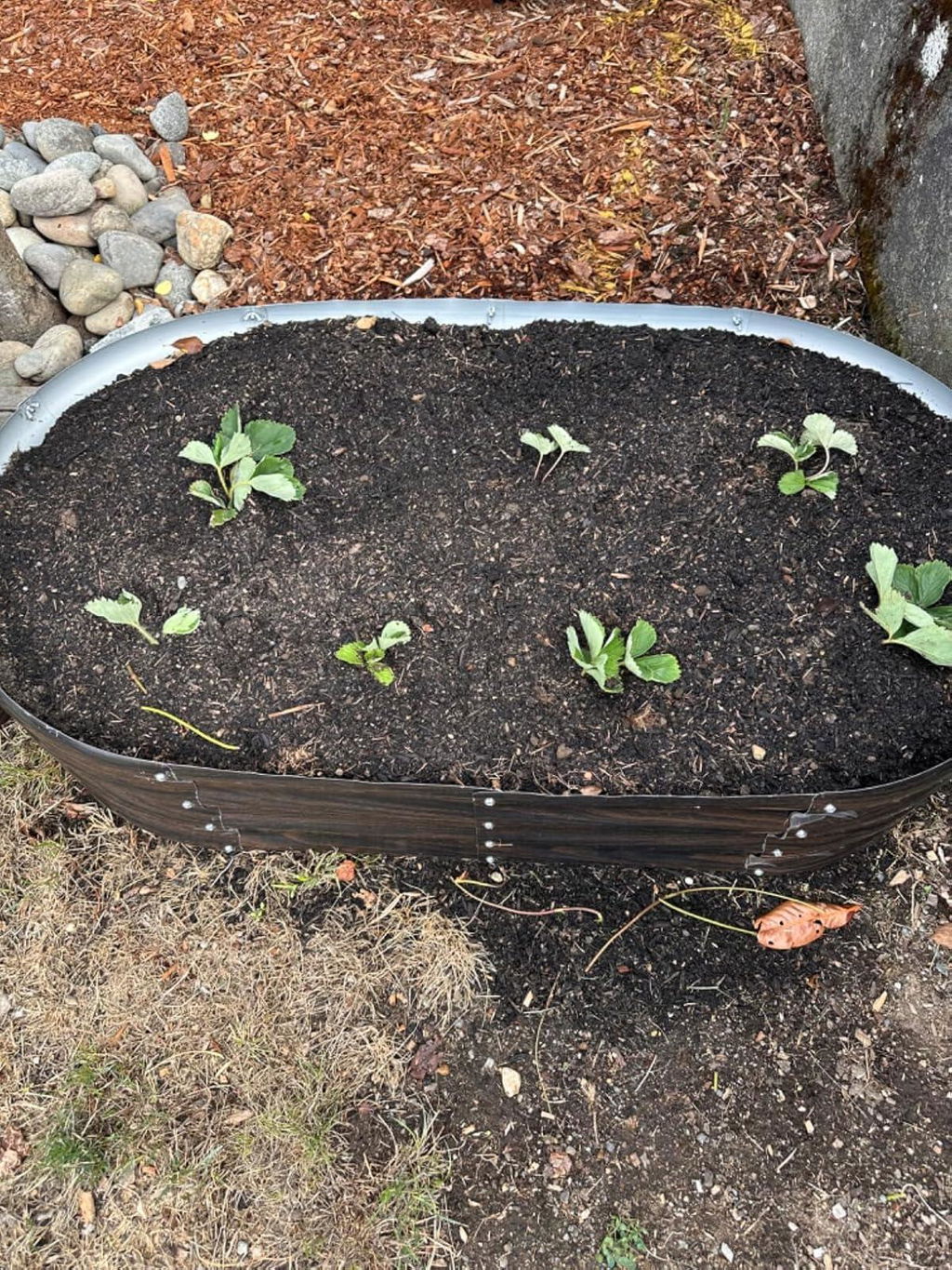 12" Tall 4x2 ft Galvanized Module Metal Raised Garden Bed, Oval Metal Planter Box for Planting Plants Vegetables