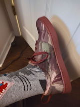 Ted M. review photo