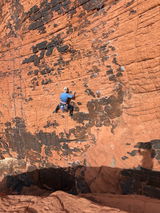 Shelly A. review photo