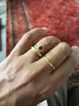 Suzana Jameel review photo