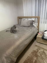 Aslıhan Sanaç review photo